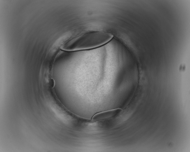 X0000112810068200909111309