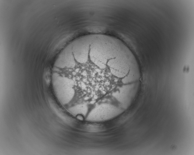 X0000112810069200909111309