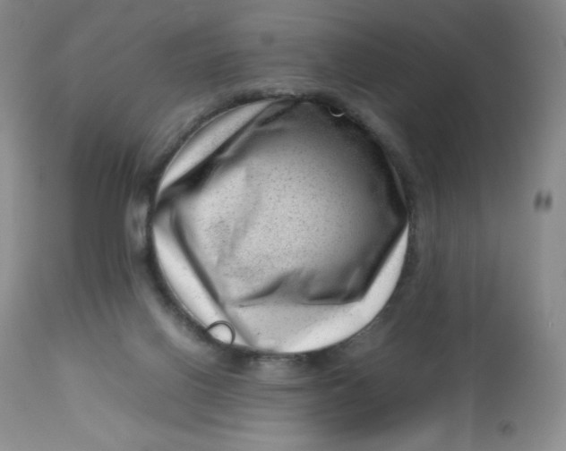 X0000112810070200909111309