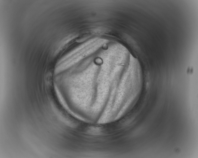 X0000112810071200909111309