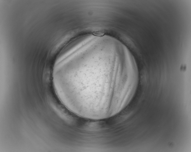 X0000112810072200909111309