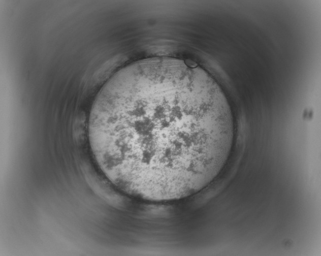 X0000112810073200909111309