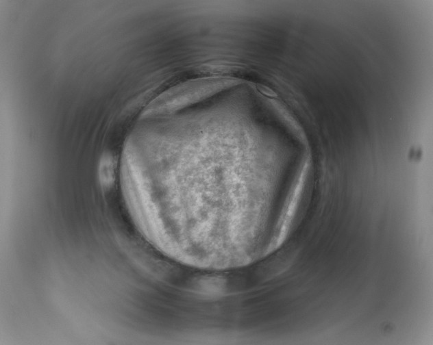 X0000112810075200909111309