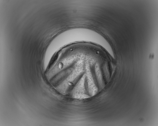 X0000112810076200909111309