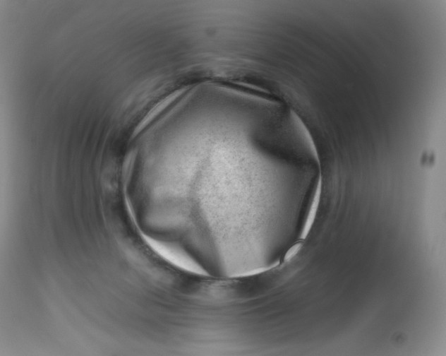 X0000112810078200909111309