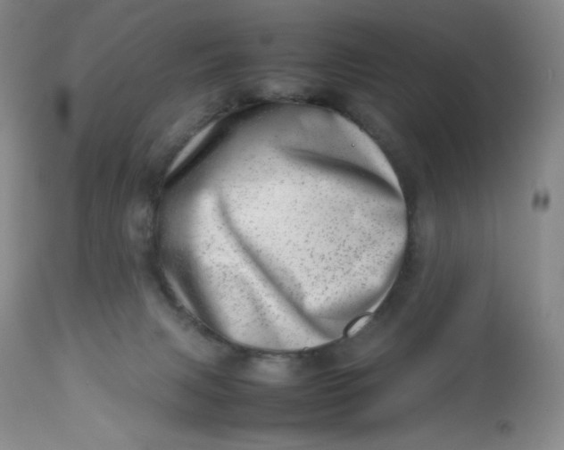 X0000112810079200909111309