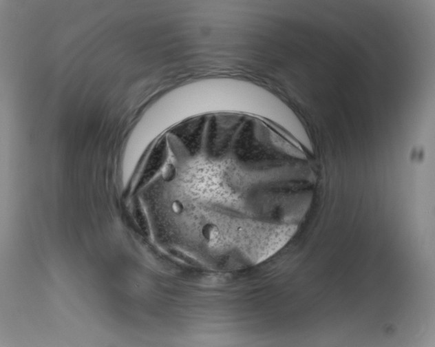 X0000112810080200909111309