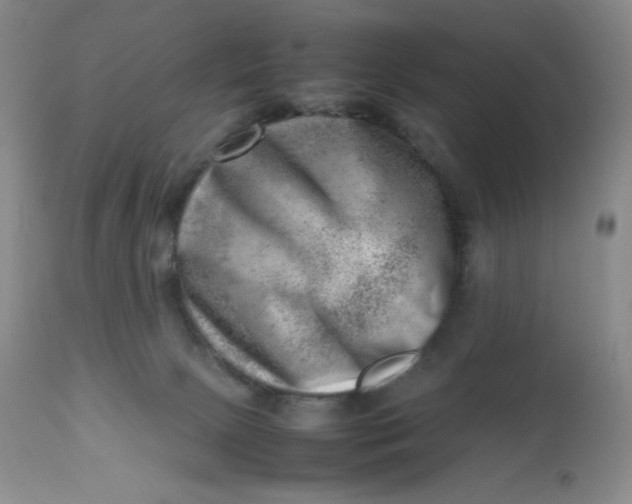 X0000112810081200909111309