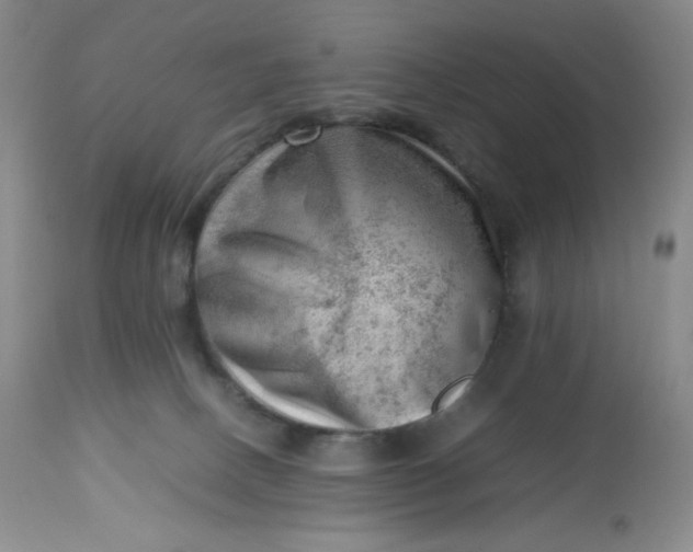 X0000112810082200909111309