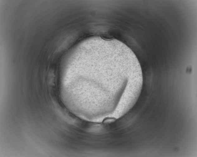 X0000112810083200909111309