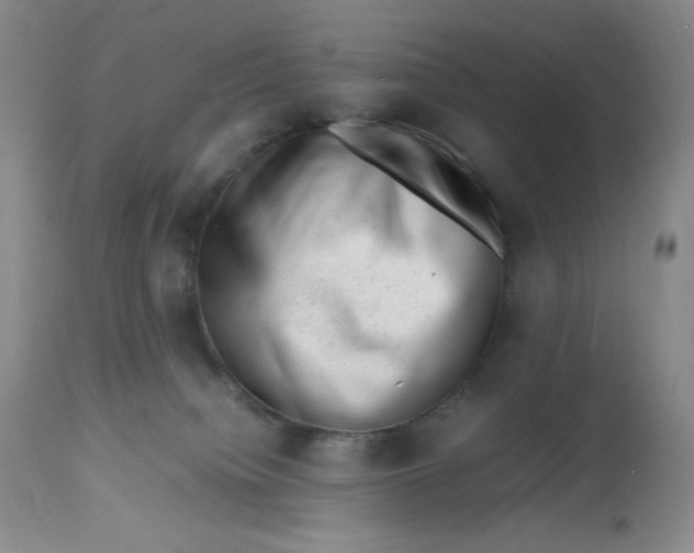 X0000112810084200909111309