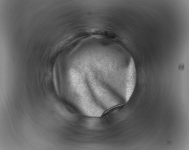 X0000112810085200909111309