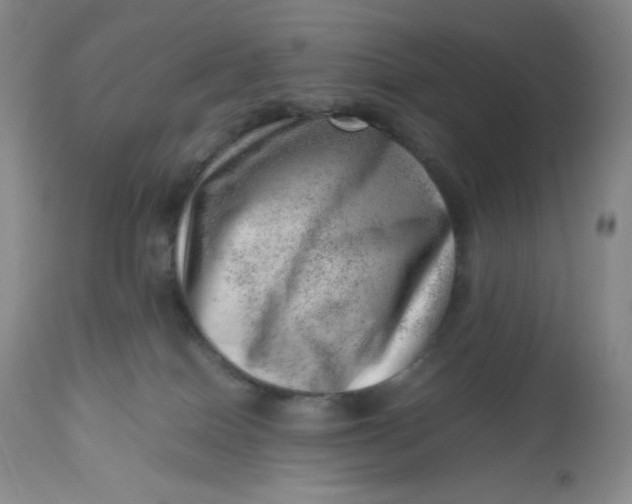 X0000112810086200909111309