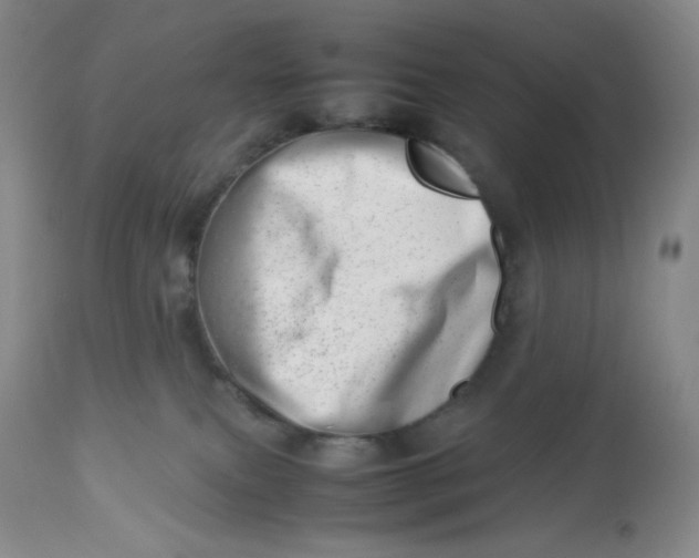 X0000112810087200909111309