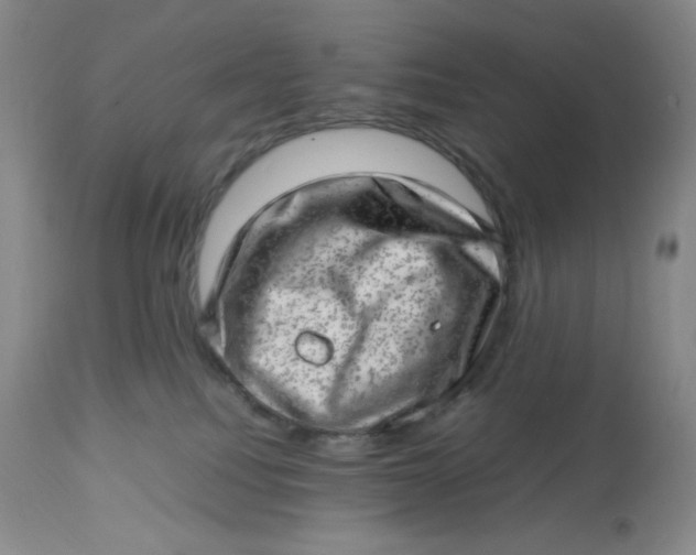 X0000112810088200909111309