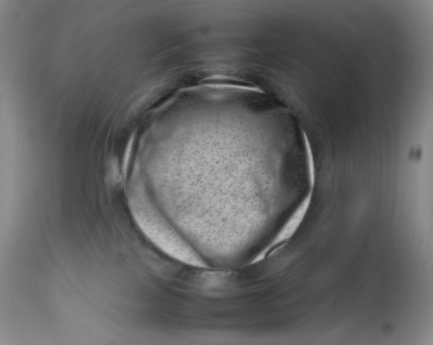 X0000112810089200909111309