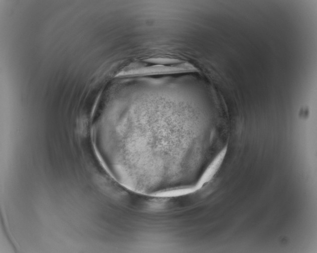 X0000112810090200909111309