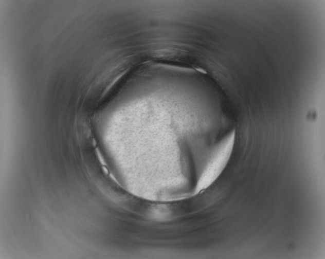 X0000112810091200909111309