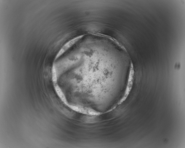 X0000112810093200909111309