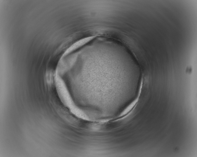 X0000112810094200909111309