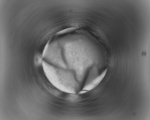 X0000112810095200909111309