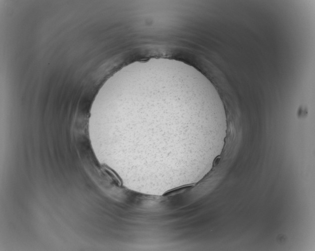 X0000112810096200909111309