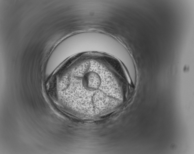 X0000112810097200909111308