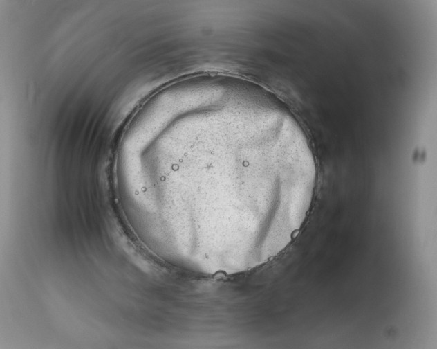 X0000112810098200909111308