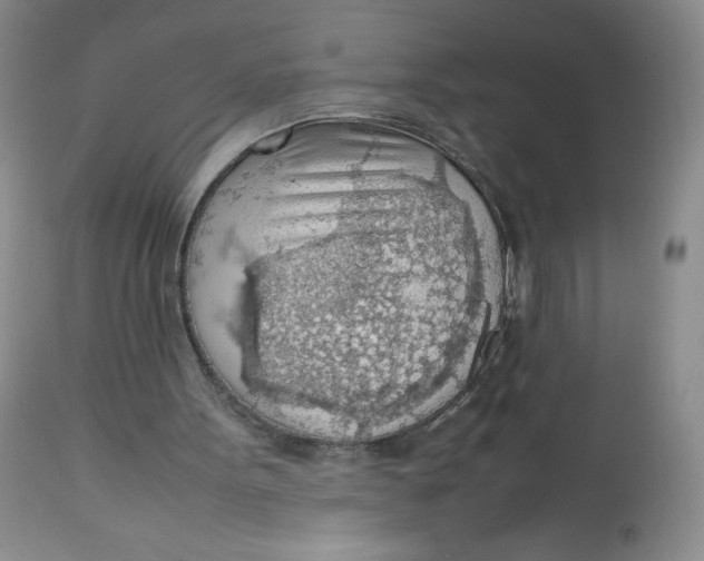 X0000112810099200909111308