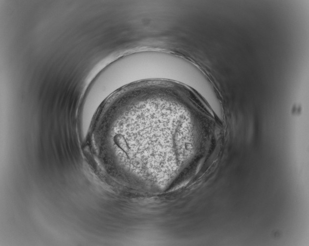 X0000112810100200909111308