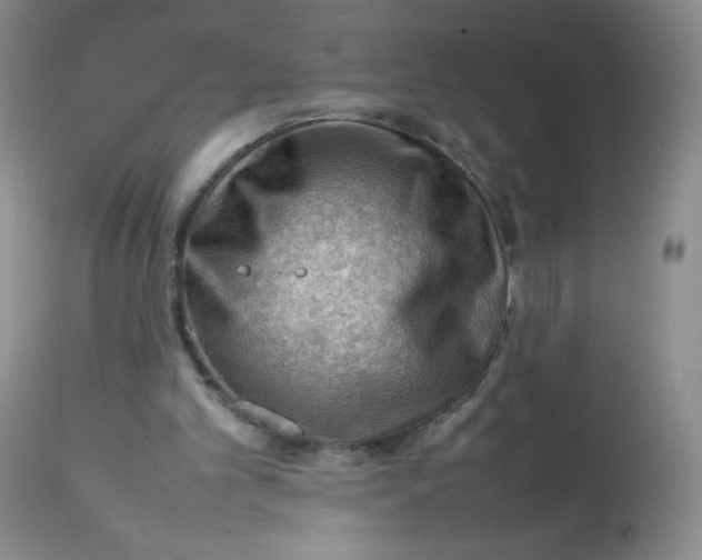 X0000112810101200909111308