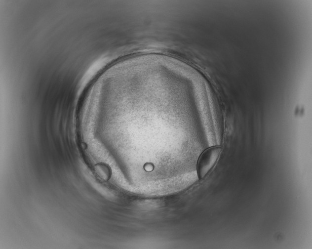 X0000112810102200909111308