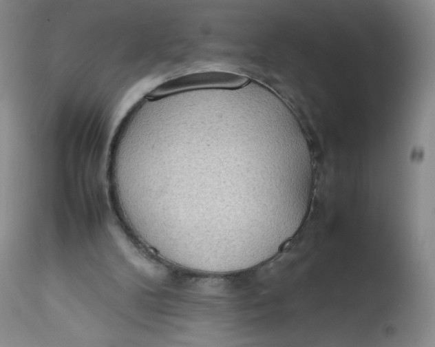 X0000112810104200909111308