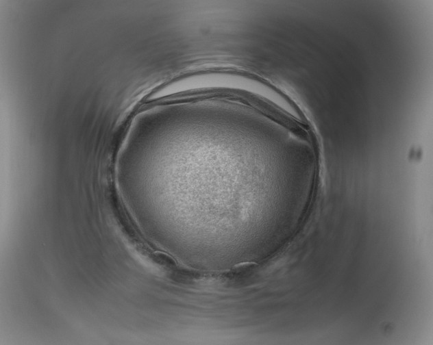 X0000112810105200909111308