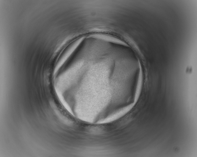 X0000112810106200909111308