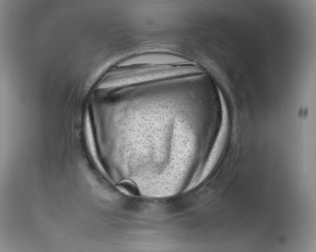 X0000112810107200909111308