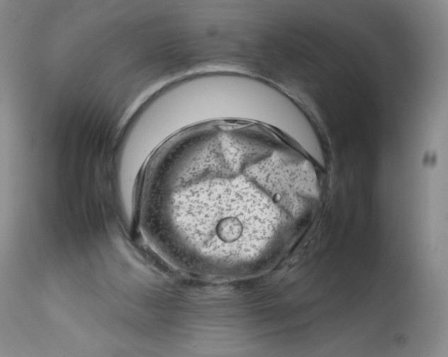 X0000112810108200909111308