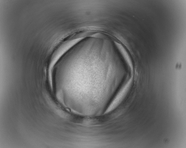 X0000112810109200909111308