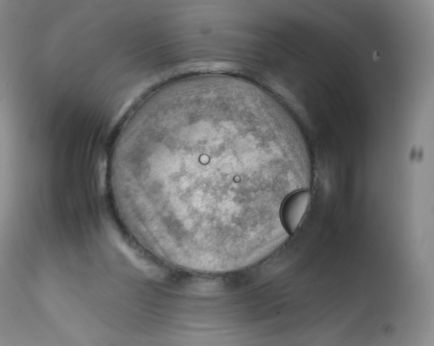 X0000112810110200909111308