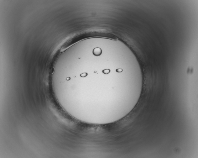 X0000112810112200909111308