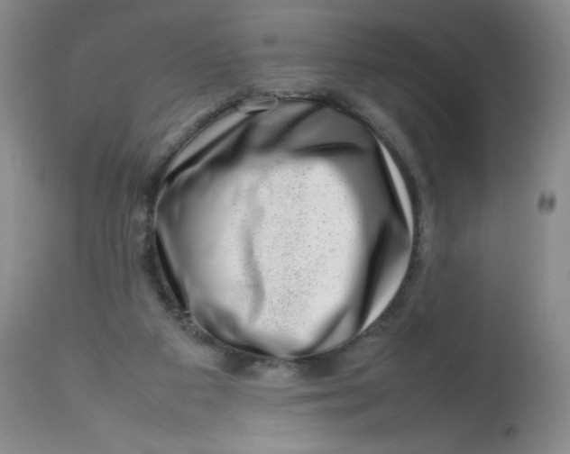 X0000112810113200909111308