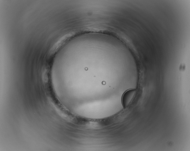 X0000112810114200909111308