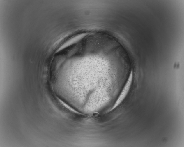 X0000112810115200909111308