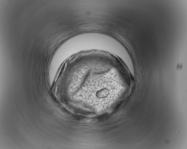 X0000112810117200909111308