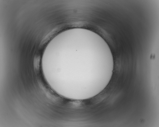 X0000112810118200909111308