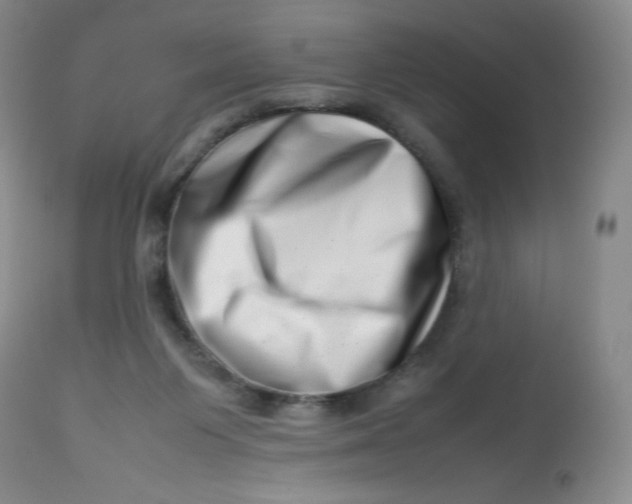 X0000112810119200909111308