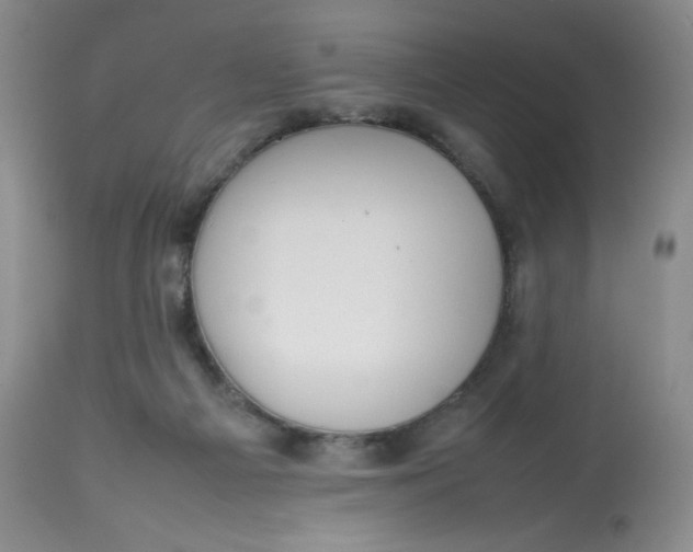 X0000112810121200909111308