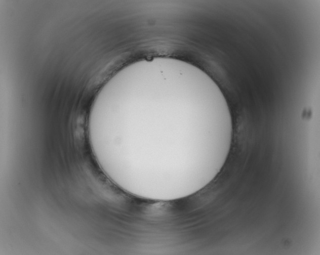 X0000112810122200909111308