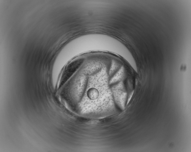 X0000112810124200909111308