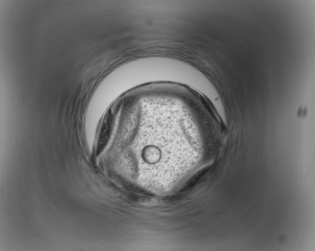 X0000112810125200909111308